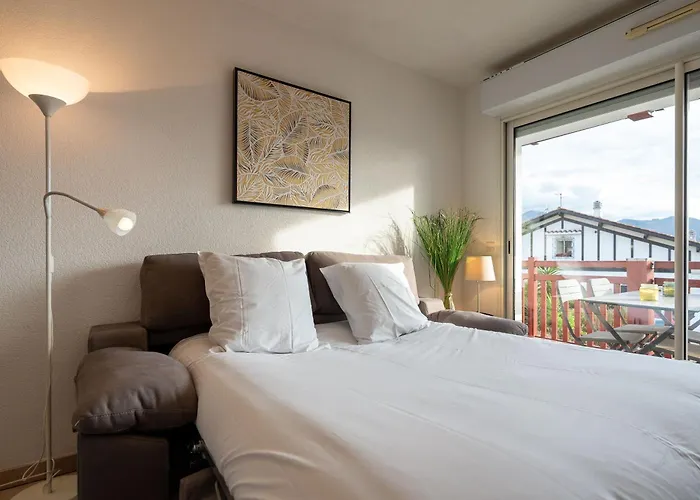 Appartement Atlantic Selection - Le Bidassoa - Avec Piscine Et Parking