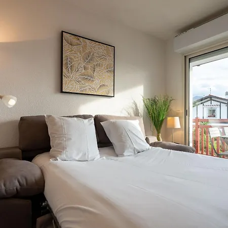 Apartment Atlantic Selection - Le Bidassoa - Avec Piscine Et Parking
